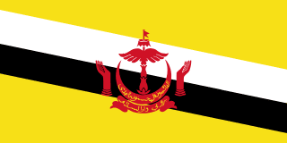 Brunei Flag - VELUTA Close-Up Fabric Wave + Type-C Port DC 5V 2A Premium Detail