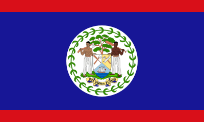 Belize Flag - VELUTA Office Daylight Lifestyle Premium Wall Art
