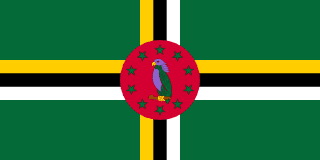 Dominica Flag - VELUTA Close-Up Fabric Wave + Type-C Port DC 5V 2A Premium Detail