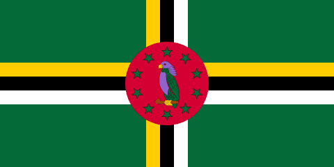 Dominica Flag - VELUTA Office Daylight Lifestyle Premium Wall Art
