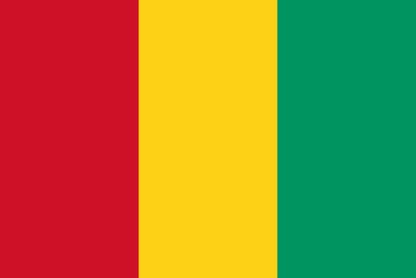 Guinea Flag - VELUTA Living Room Night LED Glow Premium Product Photo Real Tableau - Kurdistan Style