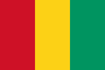 Guinea Flag - VELUTA Office Daylight Lifestyle Premium Wall Art