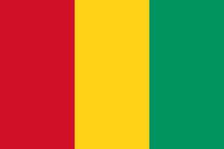Guinea Flag - VELUTA Close-Up Fabric Wave + Type-C Port DC 5V 2A Premium Detail