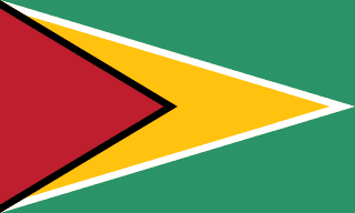Guyana Flag - VELUTA Close-Up Fabric Wave + Type-C Port DC 5V 2A Premium Detail