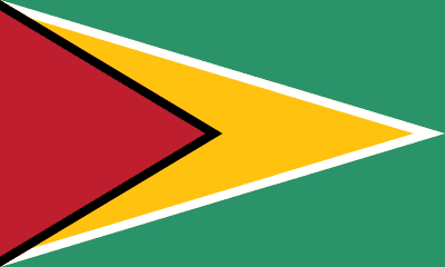 Guyana Flag - VELUTA Office Daylight Lifestyle Premium Wall Art