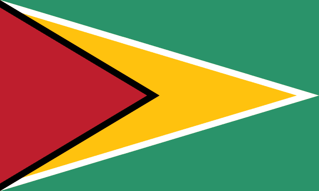 Guyana Flag - VELUTA Living Room Night LED Glow Premium Product Photo Real Tableau - Kurdistan Style