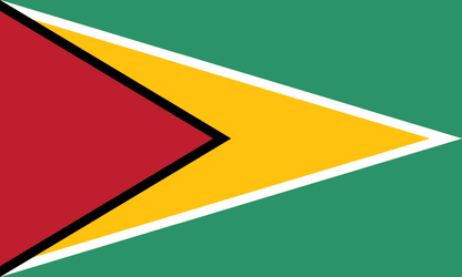 Guyana Flag - VELUTA Living Room Night LED Glow Premium Product Photo Real Tableau - Kurdistan Style