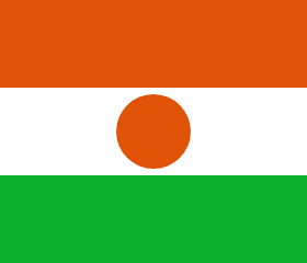 Niger Flag - VELUTA Office Daylight Lifestyle Premium Wall Art