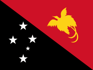 Papua New Guinea Flag - VELUTA Office Daylight Lifestyle Premium Wall Art