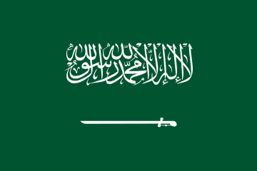 Saudi Arabia Flag - VELUTA Office Daylight Lifestyle Premium Wall Art