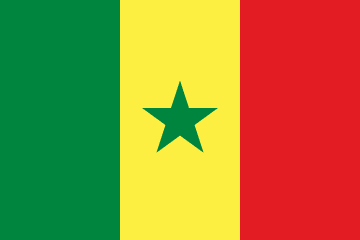 Senegal Flag - VELUTA Office Daylight Lifestyle Premium Wall Art