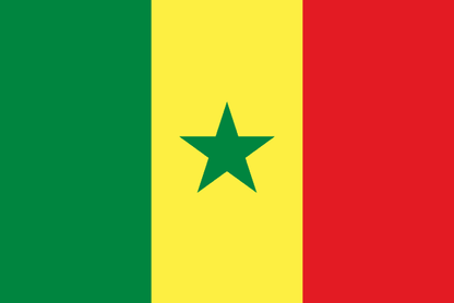 Senegal Flag - VELUTA Living Room Night LED Glow Premium Product Photo Real Tableau - Kurdistan Style
