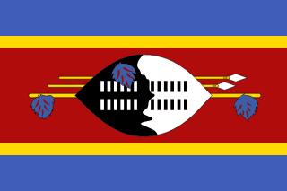 Eswatini Flag - VELUTA Close-Up Fabric Wave + Type-C Port DC 5V 2A Premium Detail
