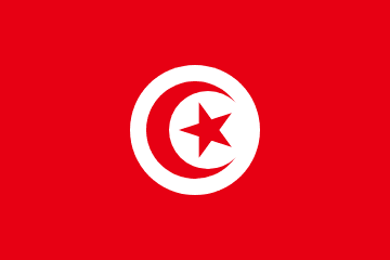 Tunisia Flag - VELUTA Office Daylight Lifestyle Premium Wall Art