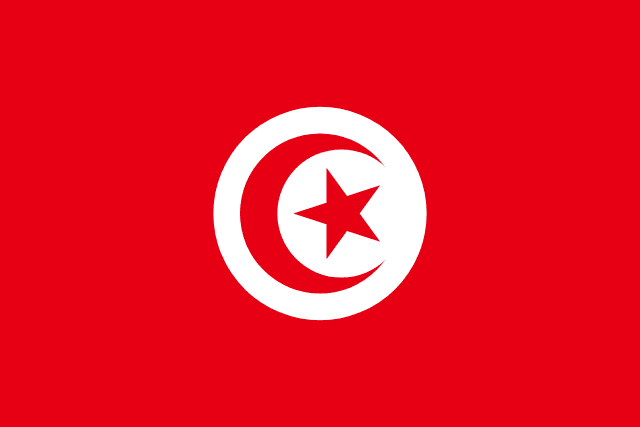 Tunisia Flag - VELUTA Living Room Night LED Glow Premium Product Photo Real Tableau - Kurdistan Style